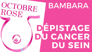 Lire la suite à propos de l’article BAMBARA CANCER DU SEIN – AUTOPALPATION – GESTE DU PREMIER SECOURS #OctobreRose2024